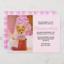 Recherche de cute dogs invitations Chiot
