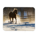 Recherche de courant magnets Ranch hideout