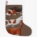 Recherche de noël de basset Mignon