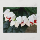 Recherche de cardiaque cartes postales Jardin