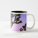 Recherche de tree tasses Rose