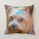 Recherche de yorkshire terrier décoration coussins Chiot