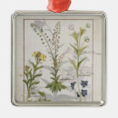 Recherche de guérison ornements 15ème