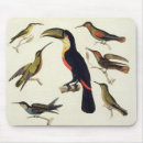Recherche de humboldt tapis souris Baron