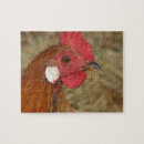 Recherche de rooster puzzles Volaille
