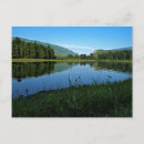Recherche de pistes cartes postales Faune