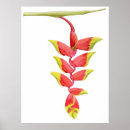 Recherche de dessin crayon coloré posters Illustration