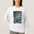 Zoek naar kleurrijke pauw tshirts Veer