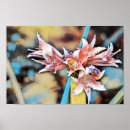Recherche de abstract photographie art Photographe
