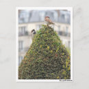 Recherche de fotografie posters Postkarte