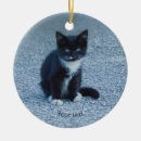 Recherche de white cat ornements Pet