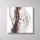 Recherche de immunologie posters Illustrations biomédicales