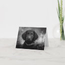 Zoek naar labradoodle kaarten Puppy