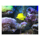 Zoek naar aquarium kunst Oceaan
