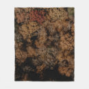 Recherche de de chute photographie couvertures plaids Forêt