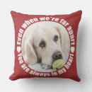 Zoek naar liefde kussens Foto