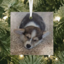 Recherche de pembroke welsh corgi ornements Canine