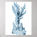 Recherche de corail art Minimaliste