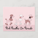 Recherche de caniche rose cartes postales Chiot