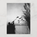 Recherche de poursuite cartes postales Noir et blanc