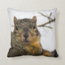 Zoek naar eekhoorns kussens Knaagdieren