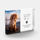 Recherche de bereavement Sympathie