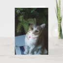 Zoek naar kattenkerstmis kaarten De van kattenkerstmis