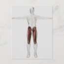 Recherche de articulé cartes postales Canal adducteur