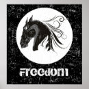 Zoek naar zwart wit dieren posters Paard