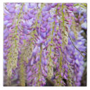 Recherche de pétales de fleur carreaux Violet