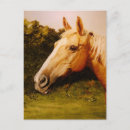 Recherche de cheval de palomino cartes postales Équine