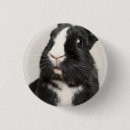 Recherche de lapin noir badges Mignon