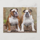 Recherche de english vœux cartes Chiot