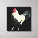 Recherche de coq impressions sur toile Coquille