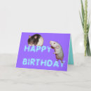 Zoek naar ratten verjaardagskaarten Gelukkige verjaardag