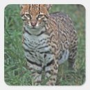Recherche de espèces autocollants Animal