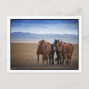 Recherche de gobi cartes postales Mongolie