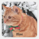 Recherche de père noël fou autocollants Animal