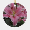 Zoek naar lily ornamenten Roze