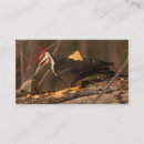 Recherche de pic cartes visite Animal