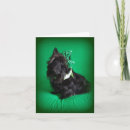 Recherche de irlandais vœux cartes Drôle