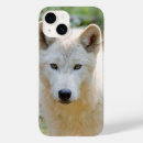 Recherche de loup gris iphone coques Loup de bois