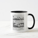 Recherche de consommation tasses École