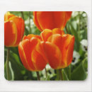 Recherche de tulipe orange tapis souris Élégant