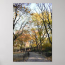 Recherche de chutes posters Arbres