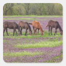 Recherche de thoroughbred autocollants Horizontale