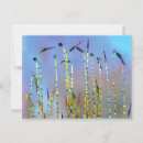 Recherche de apaisant cartes postales Paisible