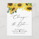 Recherche de sunflower cartes postales Eucalyptus