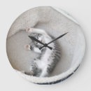 Recherche de petit somme de chat art Mignon