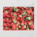 Recherche de biologique cartes postales fraises